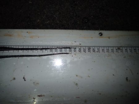 ドラゴンハントが効く！