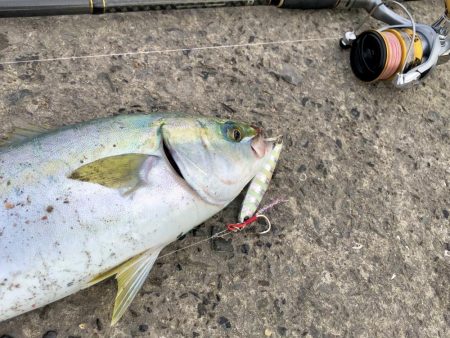 逃した魚は大きい