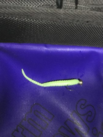 アジング淡路遠征撃沈