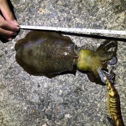 あのアジュールで