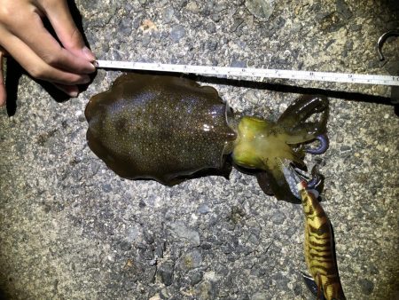 あのアジュールで