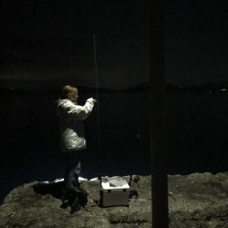 しぶとくナイトエギング