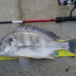 タチウオ狙いのワインドで