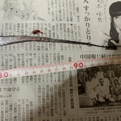 ギリドラゴン？