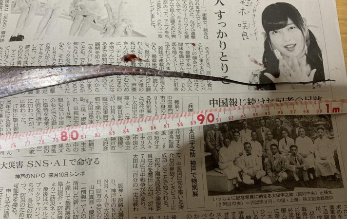 ギリドラゴン？