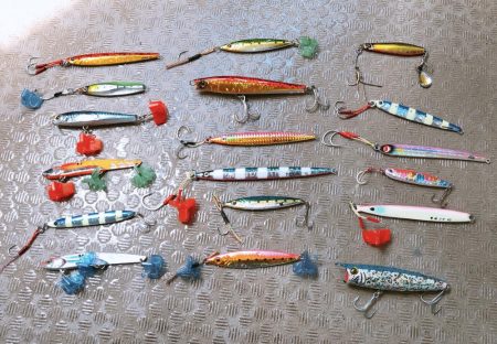 初ヒラマサ求めて？