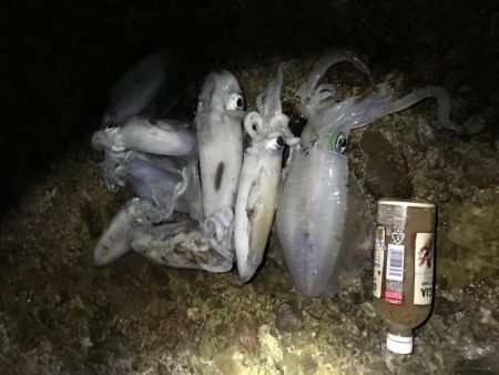 ちょっとだけ遠征エギング