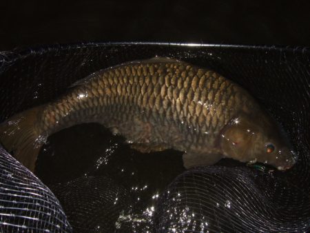 冷え込みで苦戦