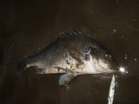 シーズン終盤戦