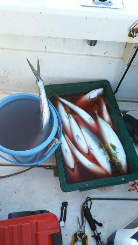 明石ジギング好調‼þ…