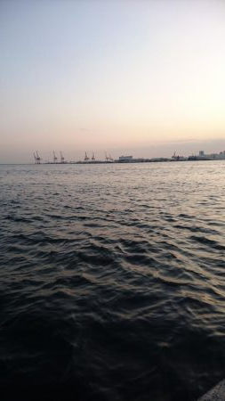 サワラでいいでしょう!