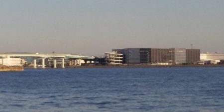 タチウオ以外にも。。。