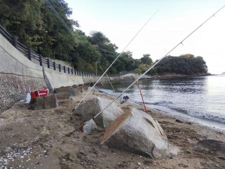 落ちギス活発、カレイはマダ‼️