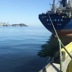 【苅田港】 秋のシーバス調査～続き４