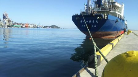 【苅田港】 秋のシーバス調査～続き４