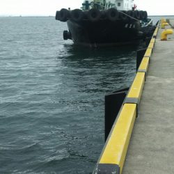 【苅田港】秋のシーバス調査~手仕舞い