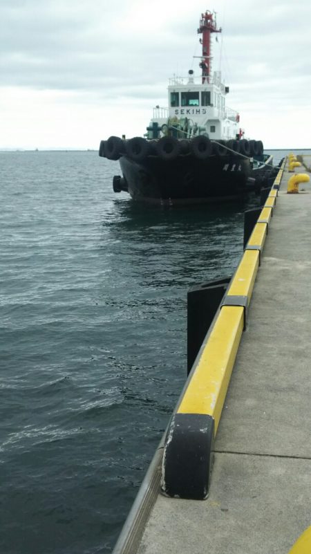 【苅田港】秋のシーバス調査~手仕舞い