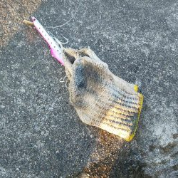 1m超とF5の外道・・・