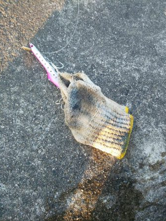 1m超とF5の外道・・・