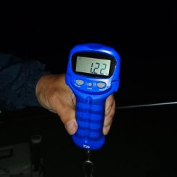 当たりが多かった