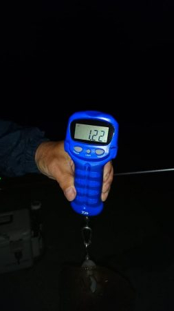 当たりが多かった