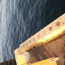 タチウオ最盛期