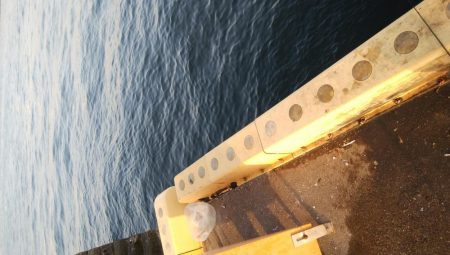 タチウオ最盛期