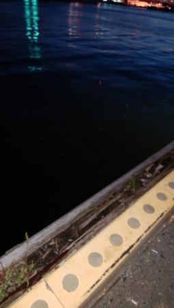 タチウオぼちぼち釣れる