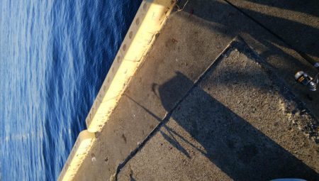 今日もサクッとアジング