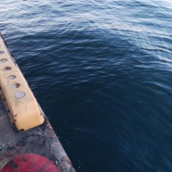 タチウオやっとピーク到来