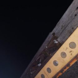 タチウオ今日はよかった