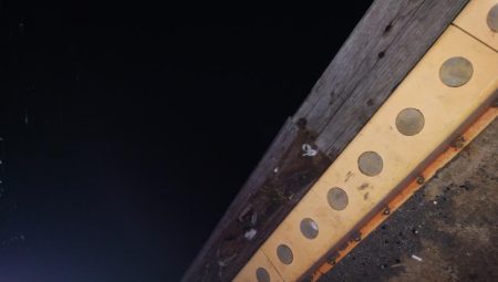 タチウオ今日はよかった