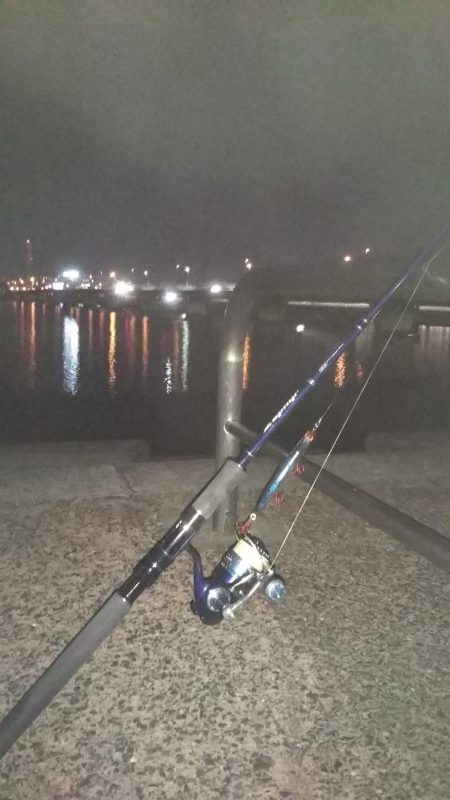 ぶらシーバス！！