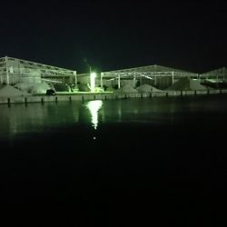 メバリング…メバルはどこに