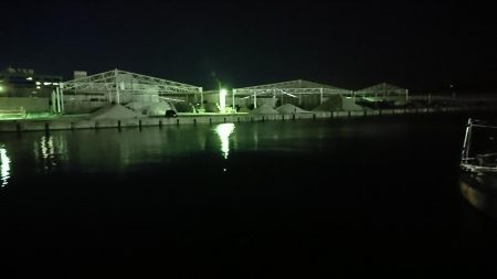 メバリング…メバルはどこに