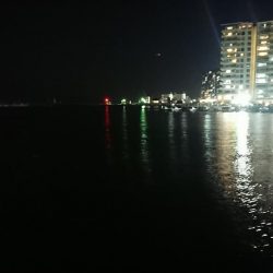 メバル!…よりガシラかな。