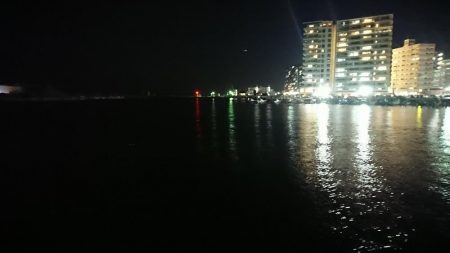 メバル!…よりガシラかな。