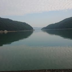 アジング&エギンク