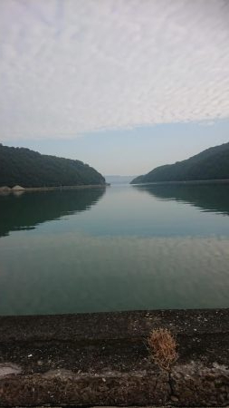 アジング&エギンク