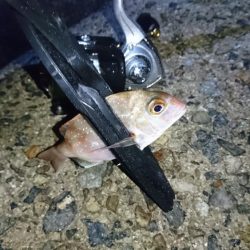 チャリコ地獄でもナイスガッシー！