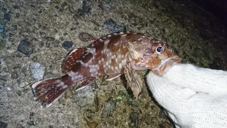 渋い！何とか一匹！