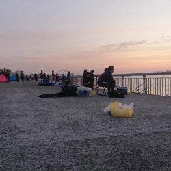 だんだん寒くなってきましたが