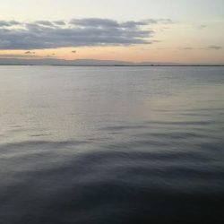 青物不発でなんとかタチウオゲット