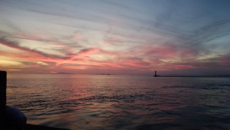 １０時から爆釣の播磨新島釣行