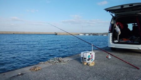 久々の淡路へ落ちギス調査