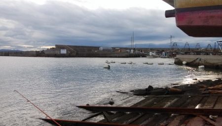 シーズン初のカレイが釣れました