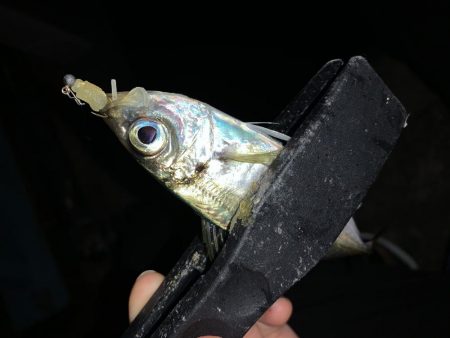 アーバンサイドアジング