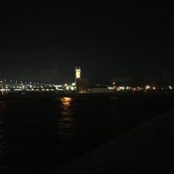 メバル～～～！