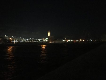 メバル～～～！