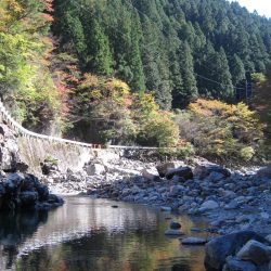 晩秋の天川管理釣り場は、13時以降がオススメ